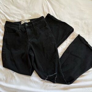 Hollister Flare Jeans